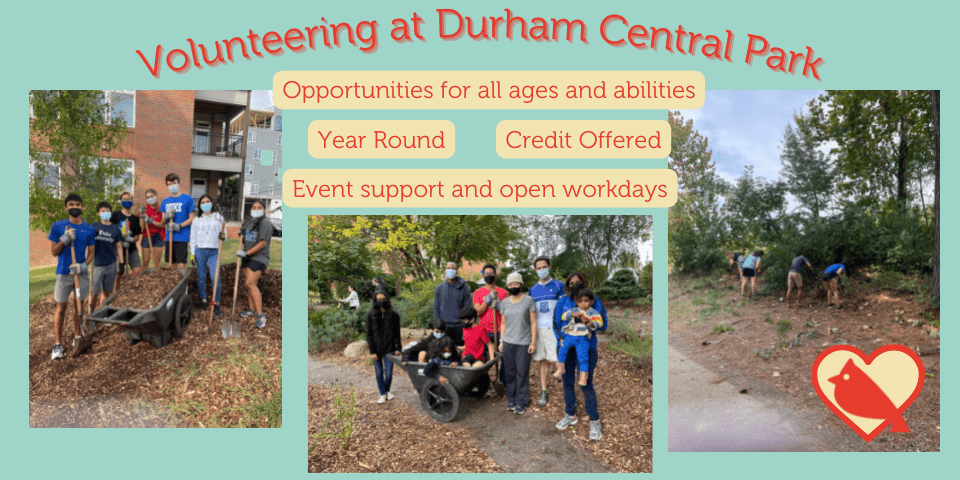 Volunteering at Durham Central Park
